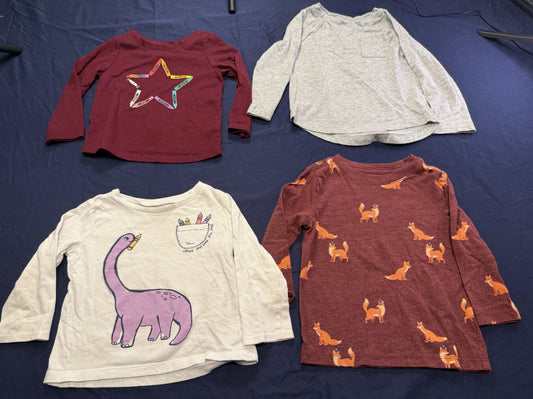 #103 12m Dino/Fox Graphic Shirt Bundle