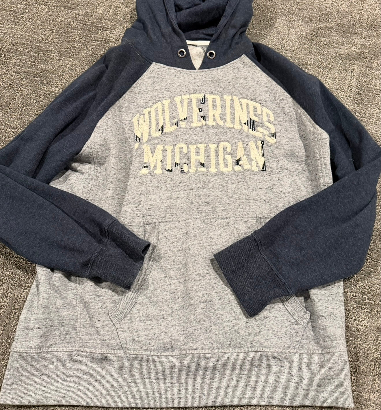 #212 mens Michigan hoodie vguc M/L