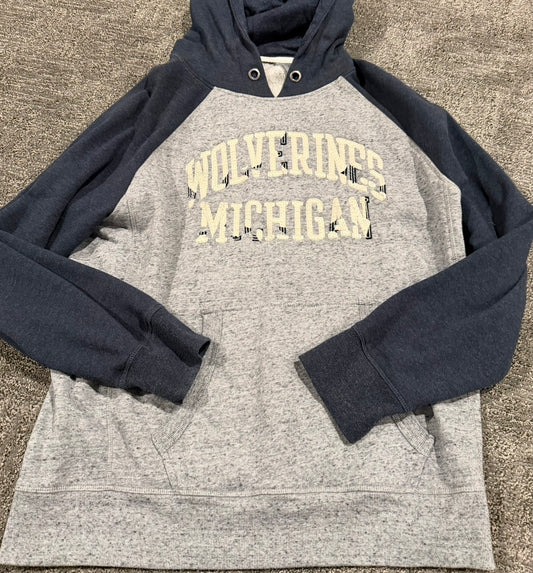 #212 mens Michigan hoodie vguc M/L