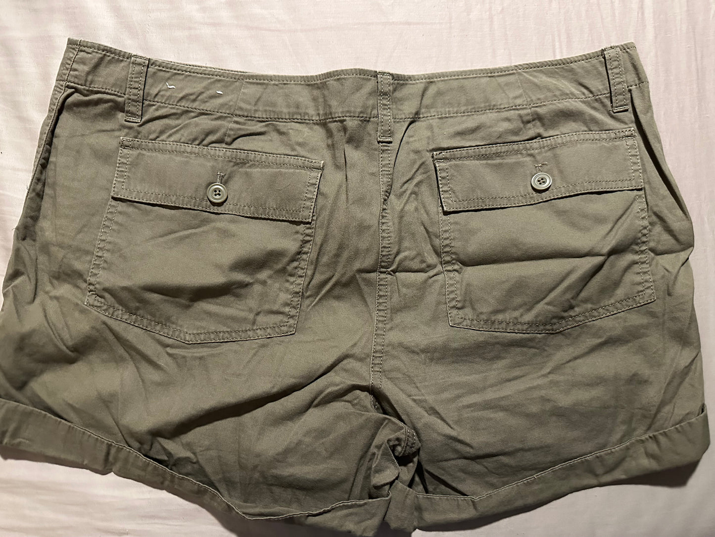LOFT size 14 shorts