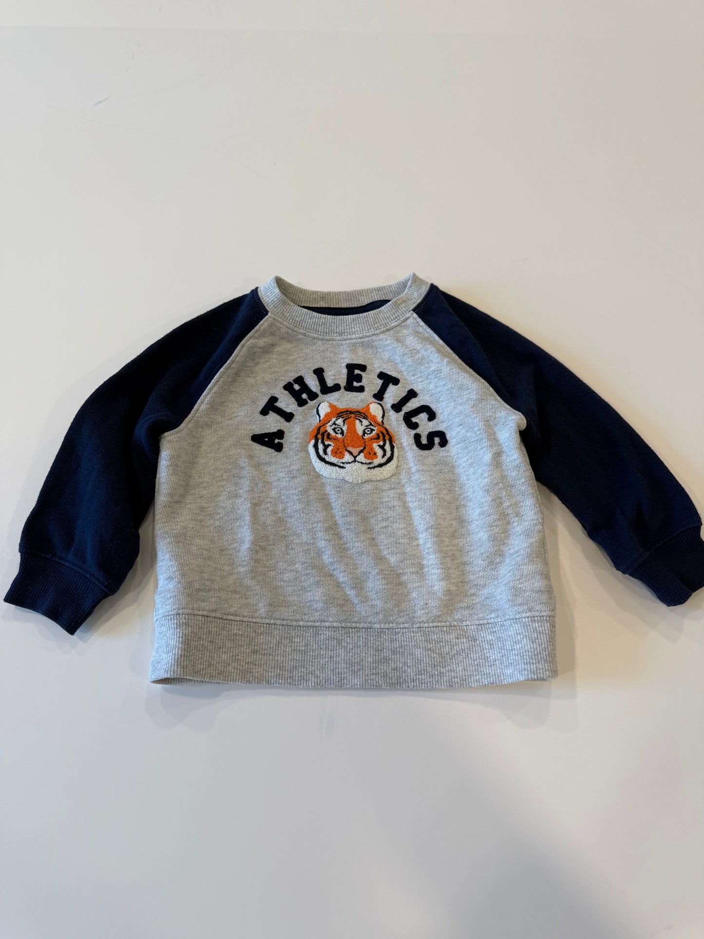#9 -  Janie & Jack -  Blue/Grey Sweatshirt with Tiger Toddler Boys SIZE  12-18 months