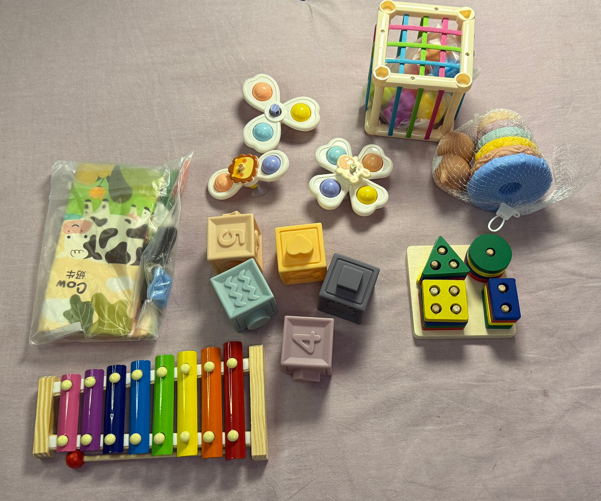 #103 Montessori Toy Bundle NIB