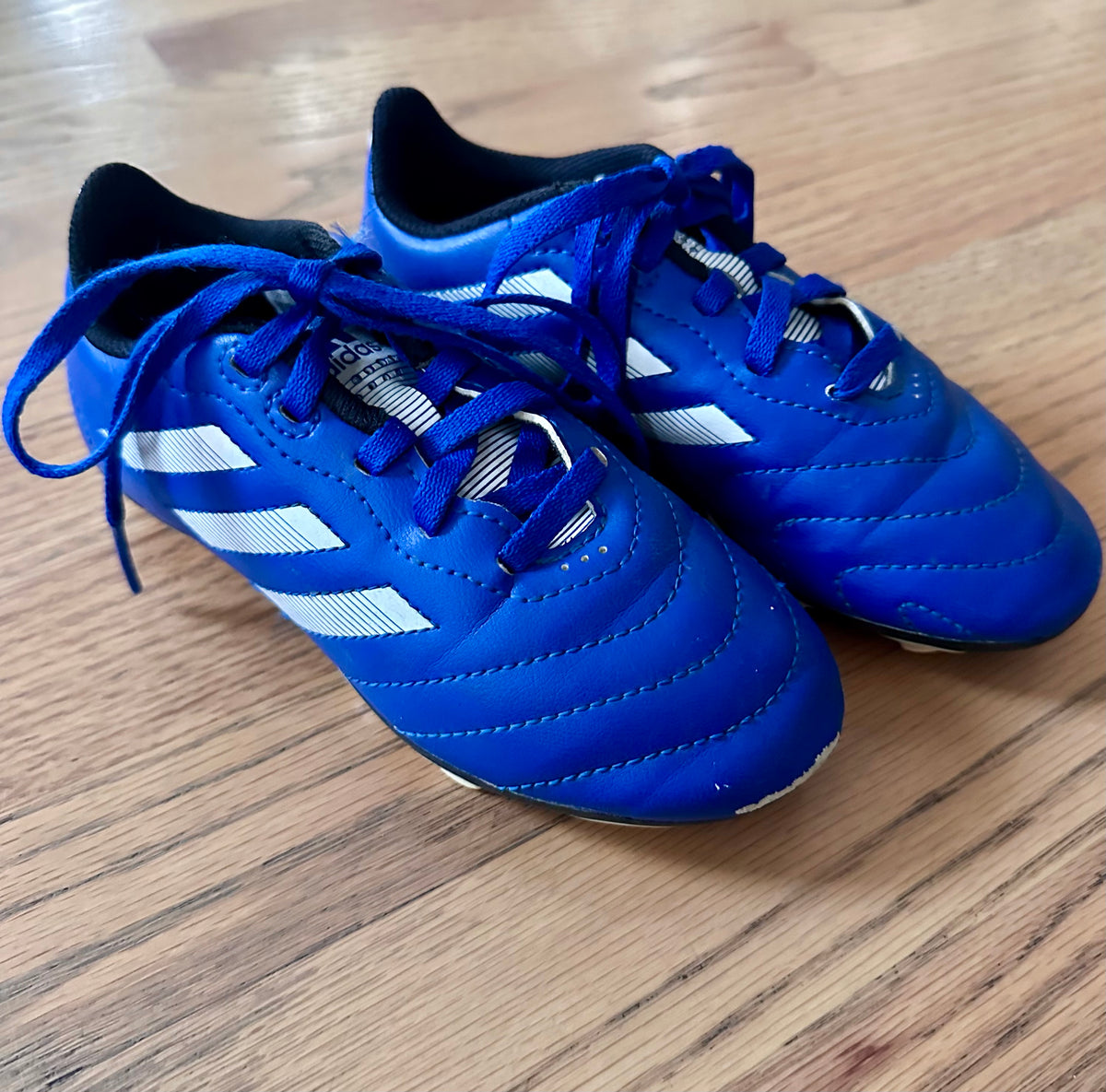 #98- Boys, Adidas, Blue Soccer Cleats- Size 12