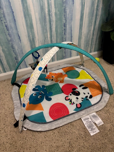 #210 Baby Einstein Play Mat