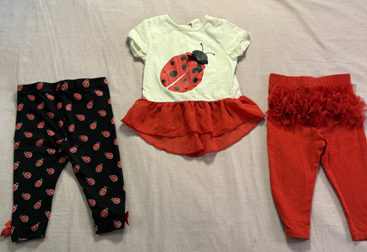 #103 12m Ladybug Shirt and Pants Set