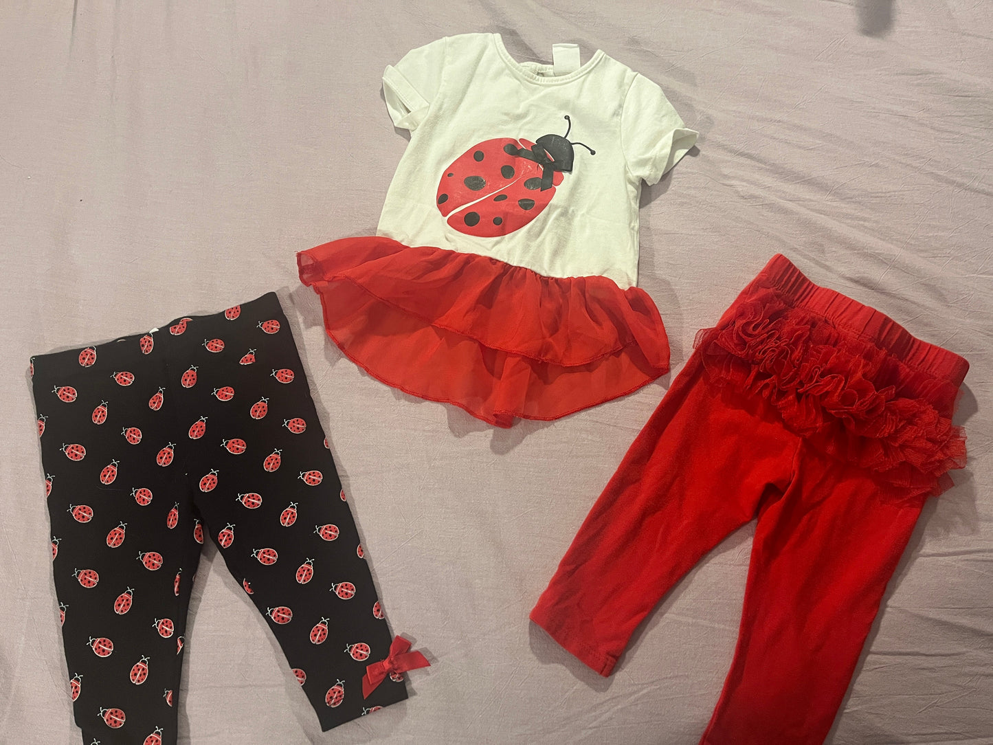#211 12m Ladybug Pants/Shirt Bundle