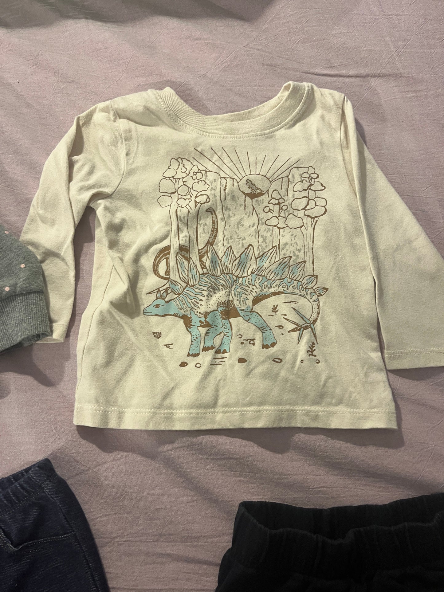 #211 12m Dino Shirt/Polka Dot Jacket Bundle