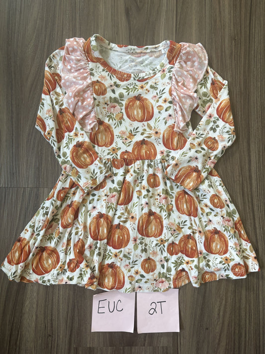 #138 - 2T EUC Bamboo (Milk + Coco) Pumpkin Twirl