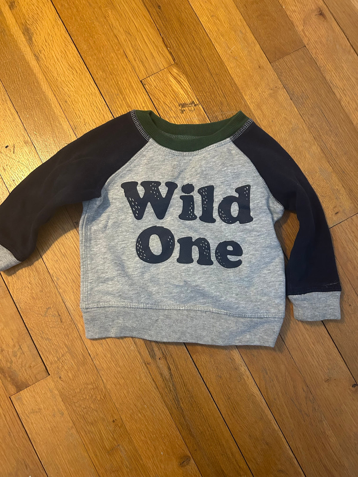 Seller 128 - Baby Gap Boys 12-18M Wild One Sweatshirt