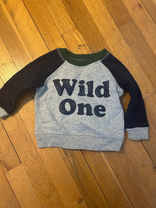 Seller 128 - Baby Gap Boys 12-18M Wild One Sweatshirt