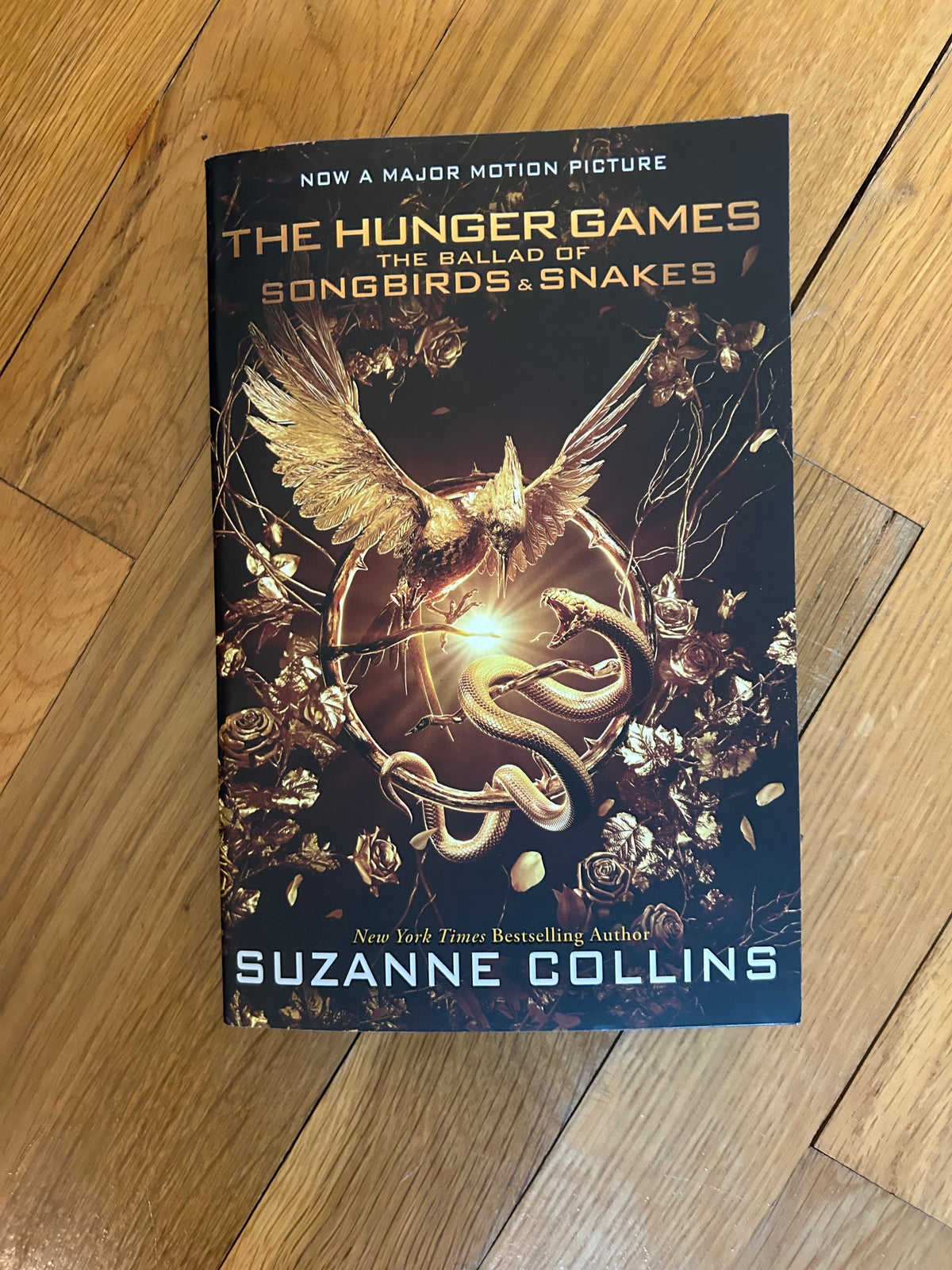 Seller 128 - The Hunger Games The Ballad of Songbirds and Snakes
