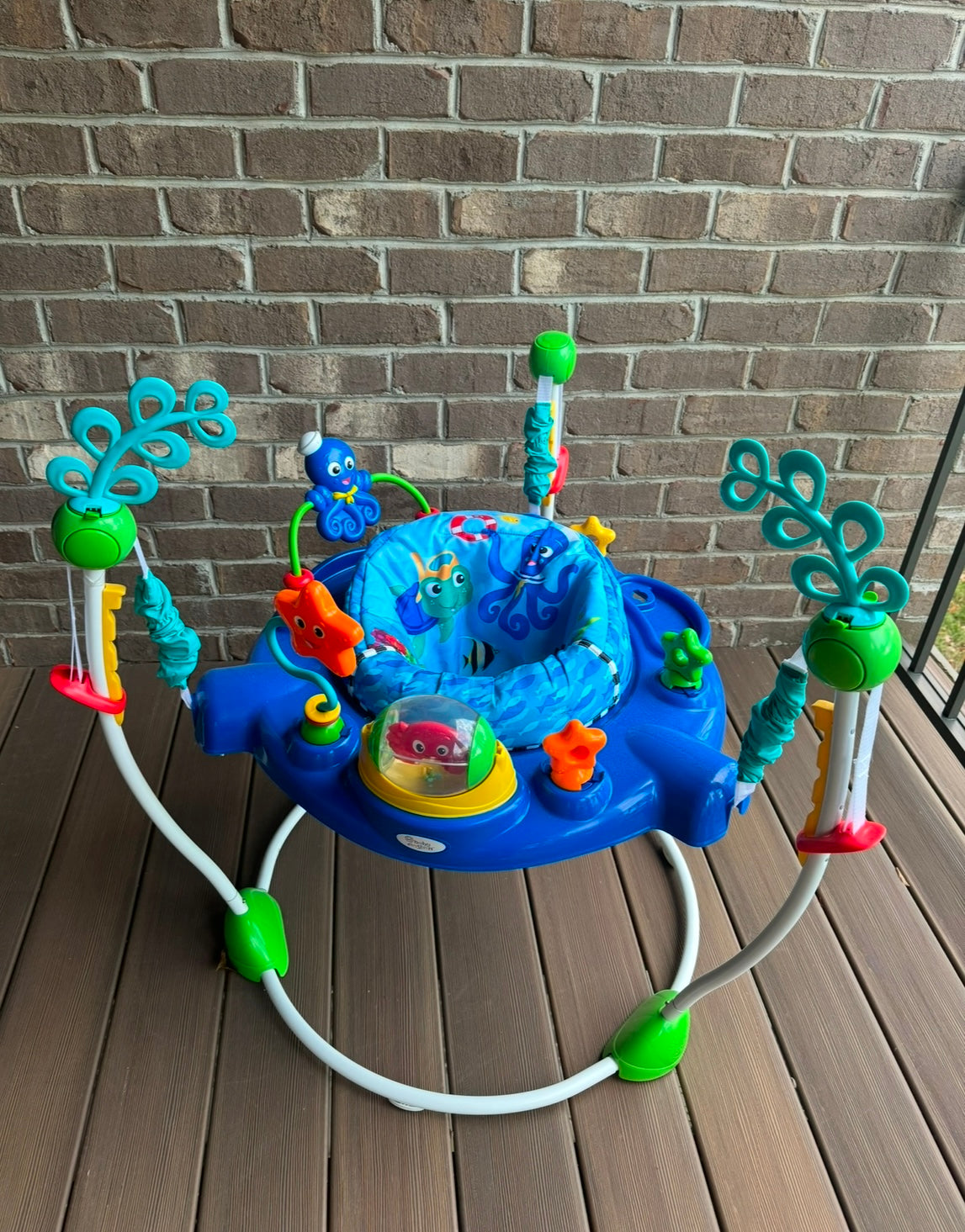 Seller #172 REDUCED Baby Einstein Jumper