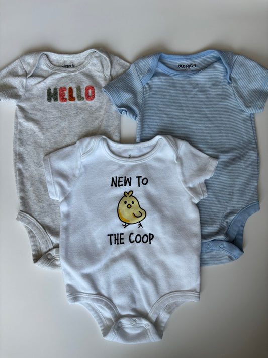 Seller #60 Assorted Brands Onesie Bundle - 3-6 Months