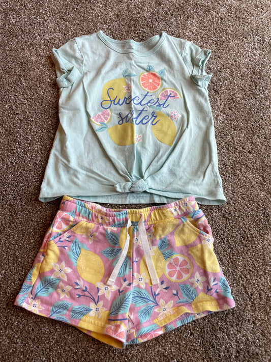 Girls 2T sister outfit