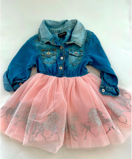 Seller #165 Girls 2T Zunie Denim/Tulle Dress - VGUC