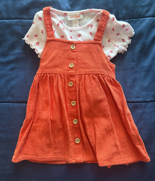 SELLER #6 C&J 12M Orange Overall Outfit