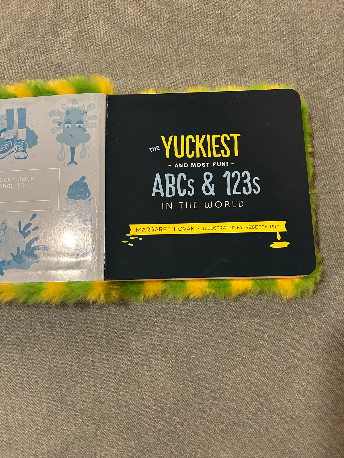 Seller 128 - Yuckiest ABCs & 123s Book