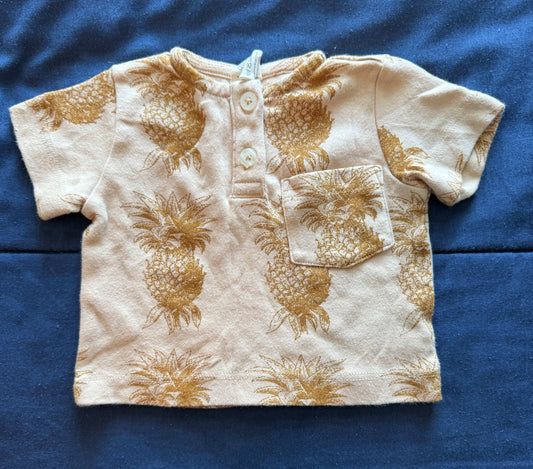SELLER #6 Kate Quinn 3M Pineapple Shirt