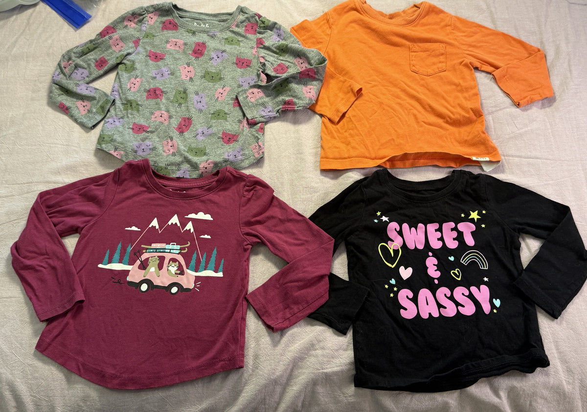 #103 Sweet and Sassy 2T Shirt Bundle