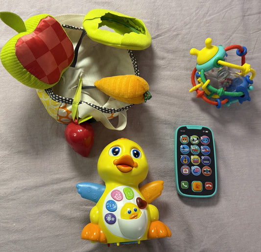 #103 Duck Toy Bundle