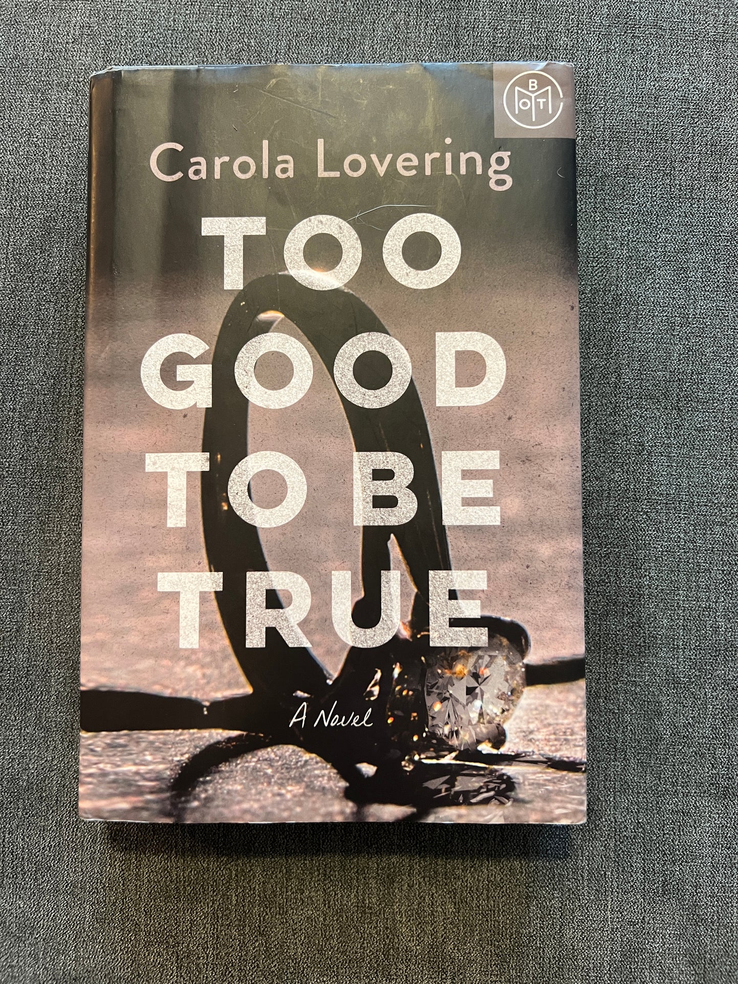 Too Good To Be True by Carola Lovering- PPU 45044 (Liberty Twp)