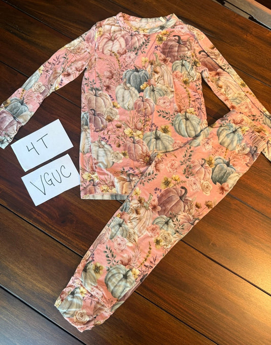 #51 Posh Peanut 4T Mauve Pumpkin Bamboo Pajama Set