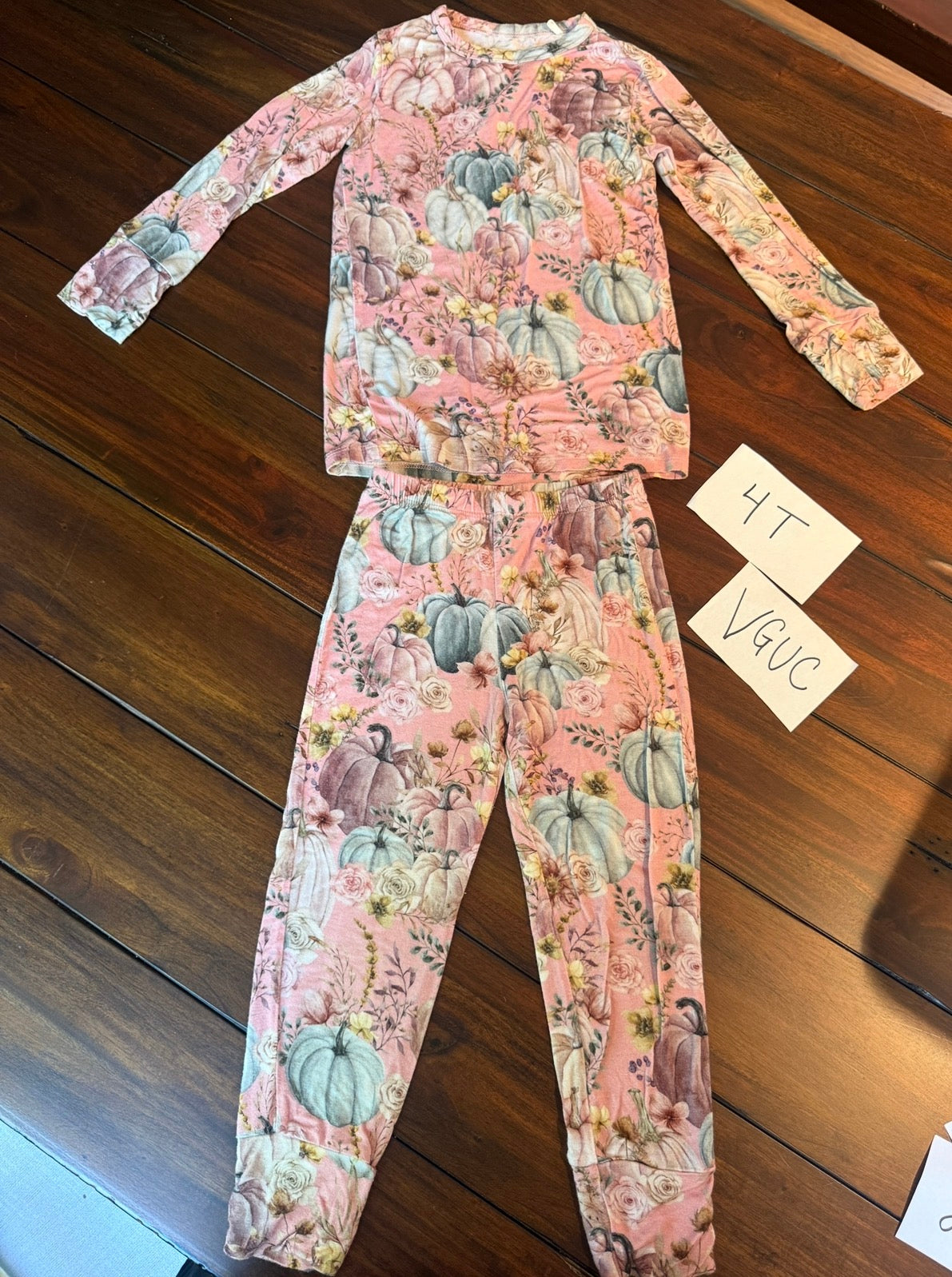 #51 Posh Peanut 4T Mauve Pumpkin Bamboo Pajama Set