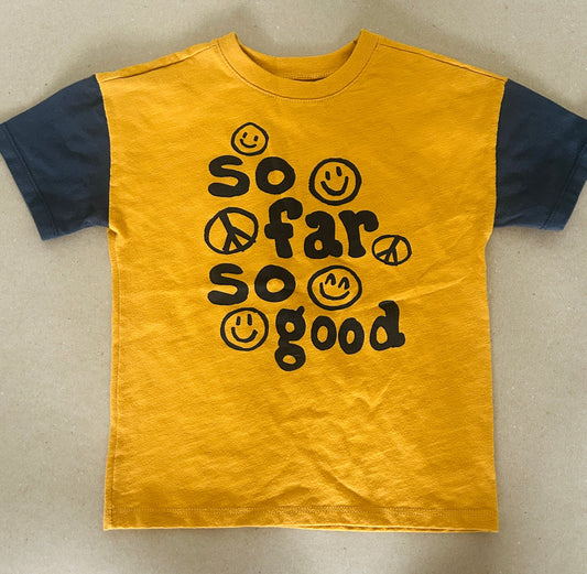 #15 Garanimals 5t So Far So Good T Shirt