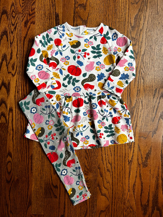 Seller #115 - Boden Girls 2-3Y Fall Sweatshirt Dress with Matching Gray Leggings, VGUC/EUC