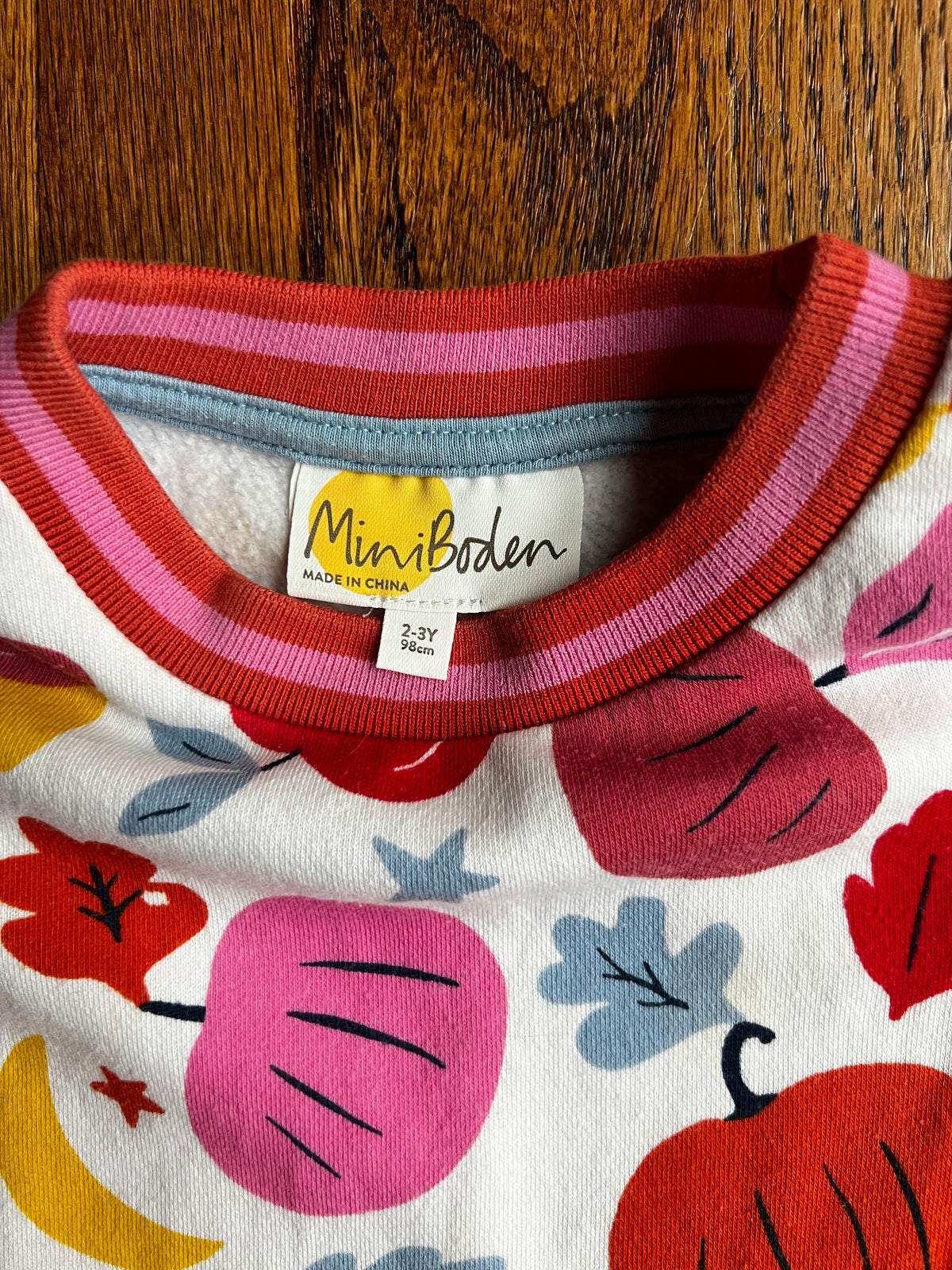 Seller #115 - Boden Girls 2-3Y Pumpkin Sweatshirt Dress with Pockets, EUC