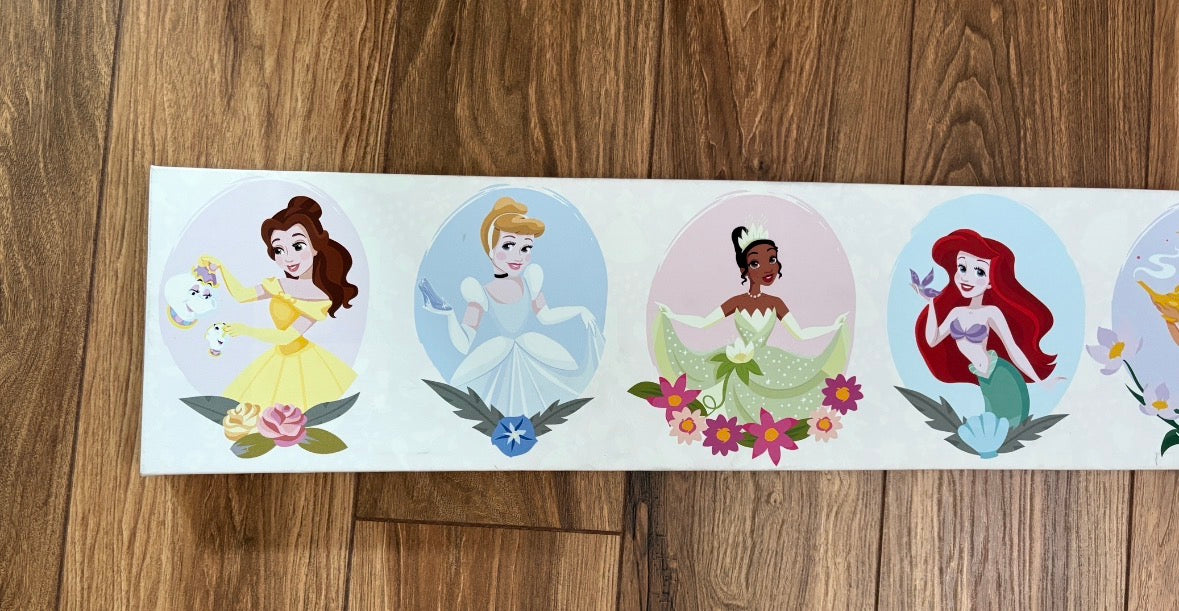 #121 Disney princess painting, VGUC