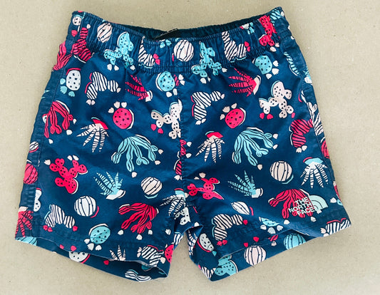 #15 Northface 4t Swim Trunks