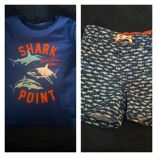Swim Trunks and Shirt / 6 months