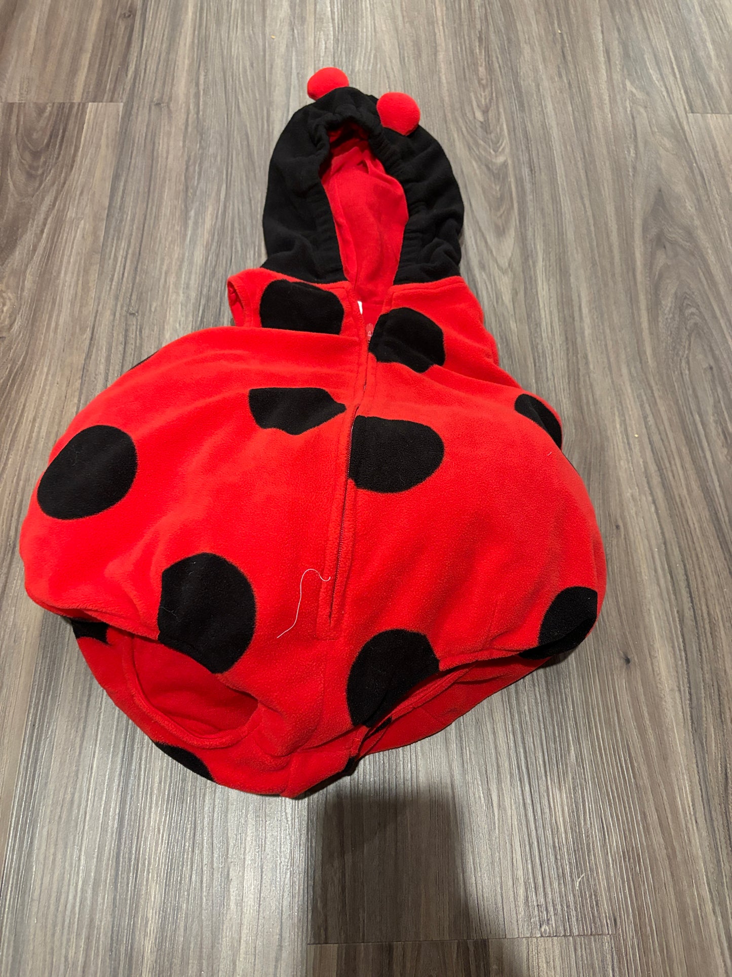 #98B - 6-9 Mo - Carters ladybug Halloween Costume