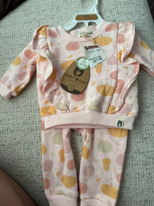 Seller #30 "Rabbit Bear" Two Piece Pink Baby Girl Set Size 3-6M NWOT