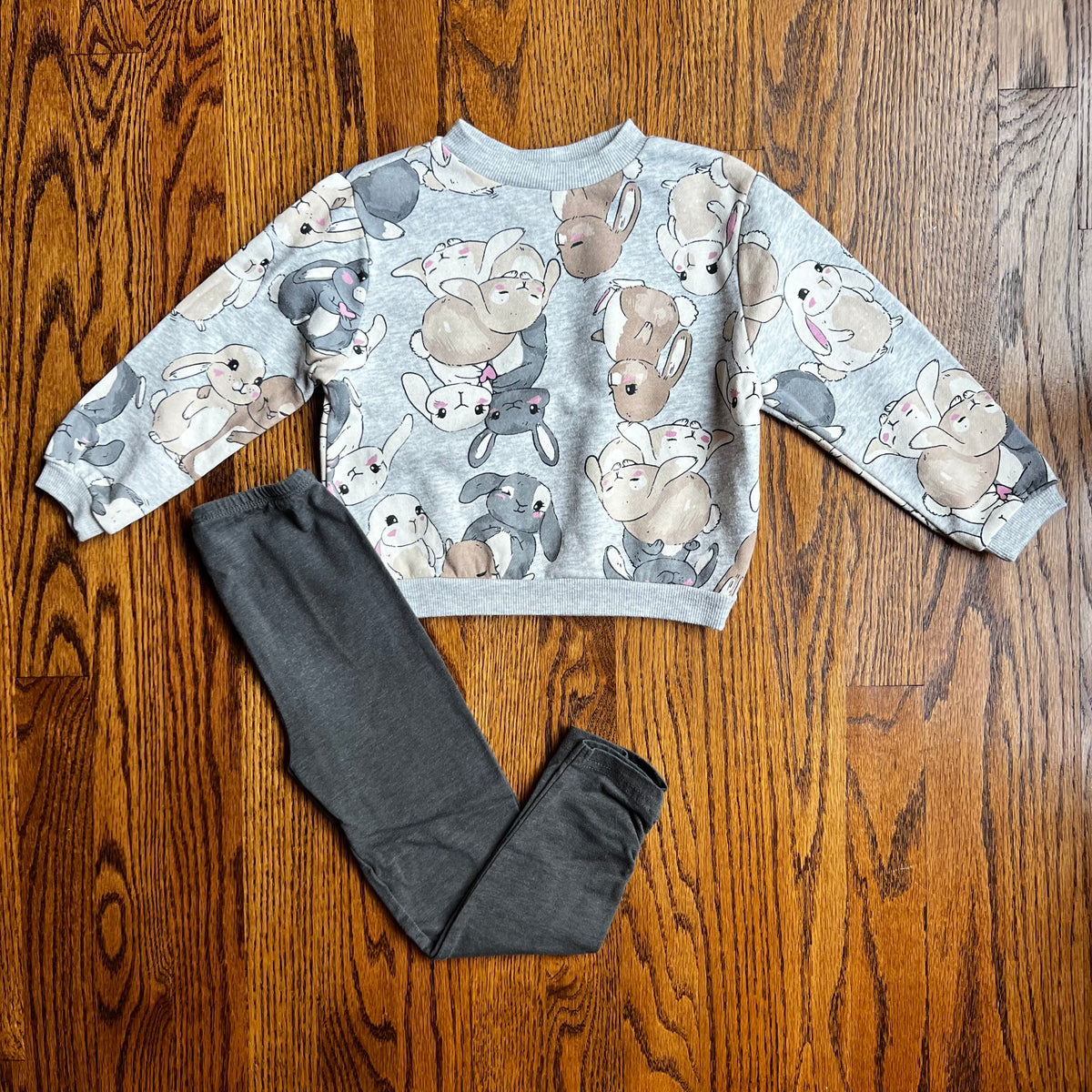 Seller #115 - H&M Girls 3-4T Bunny Sweatshirt with Disney 4T Gray Leggings, VGUC/GUC