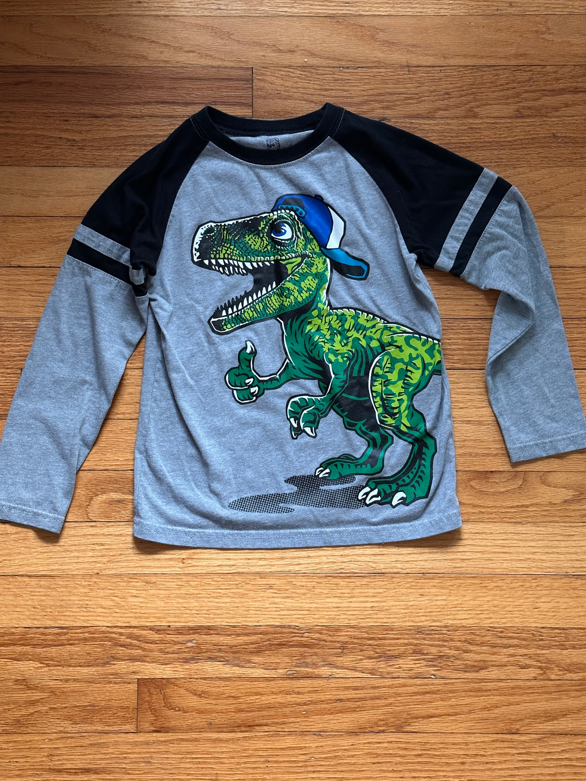 #163 365Kids Dinosaur Shirt & Urban Pipeline Black Sweatpants - size 6/7 - VGUC