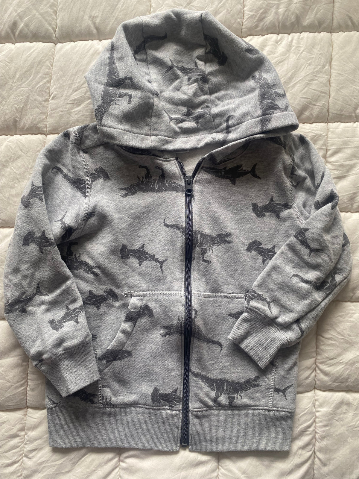 Seller 59 boys sz 7 Carter's hoodie
