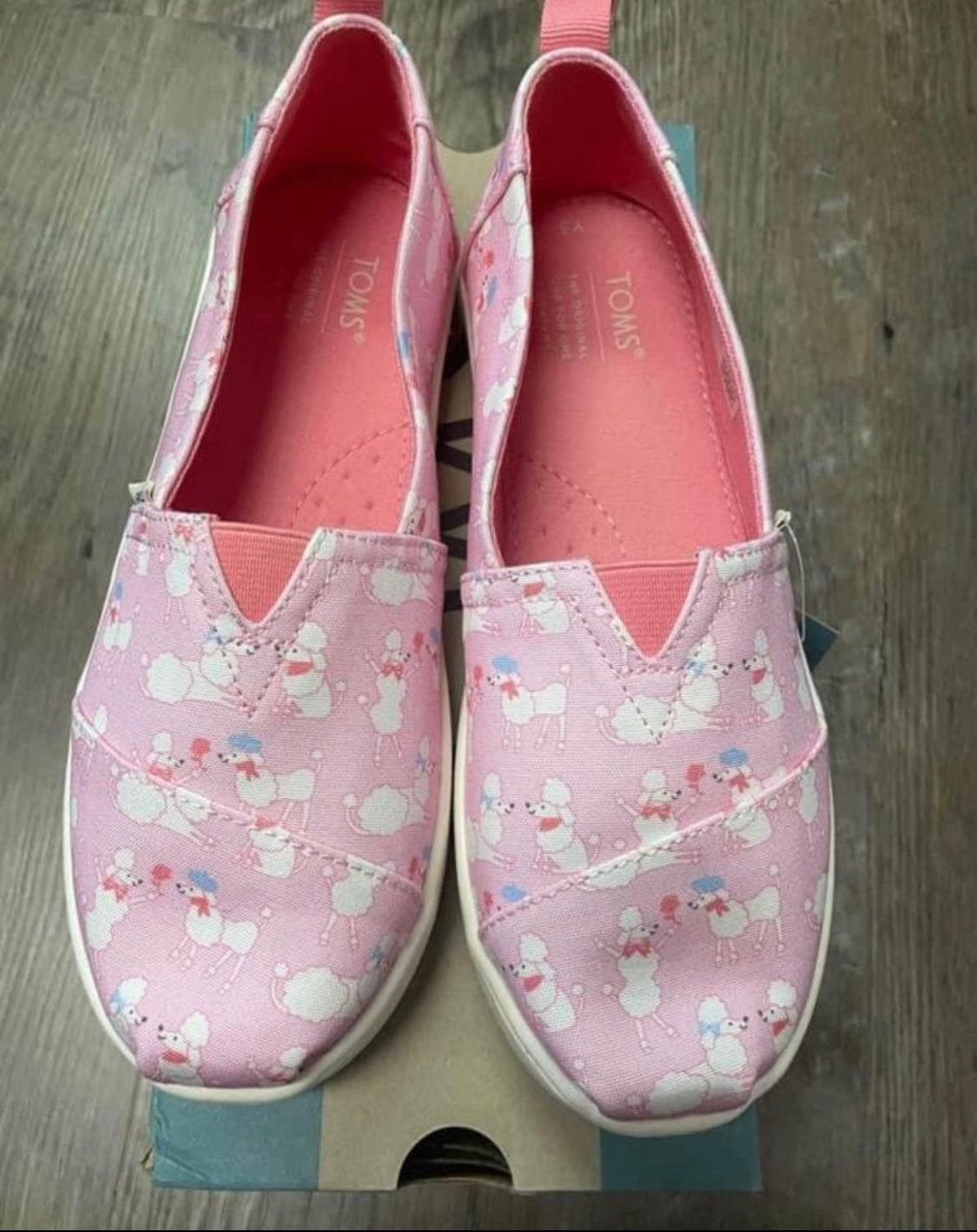 #13 New Toms youth size 3. shoes poodle