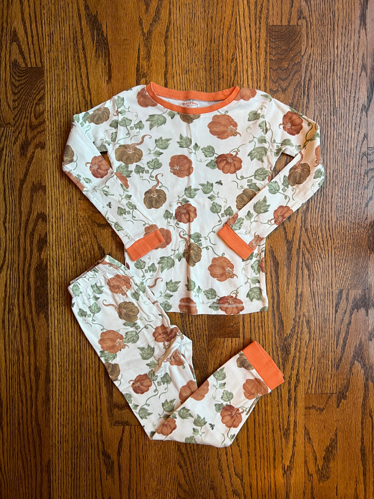 Seller #115 - Burt’s Bees 4T Gender Neutral Pumpkin Pajamas, VGUC