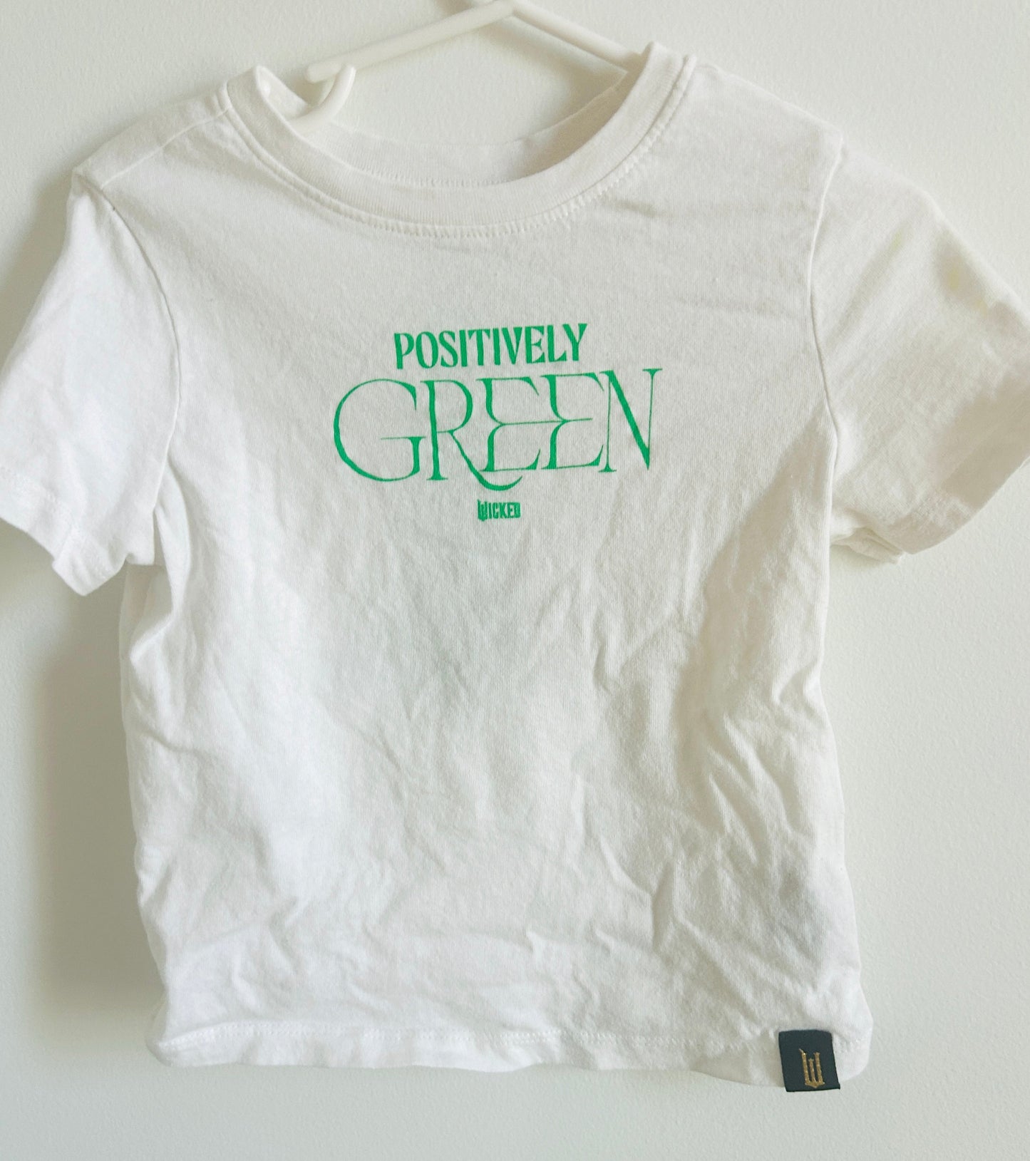 #15 Old Navy 3t Wicked Elphaba Shirt (Front and Back)