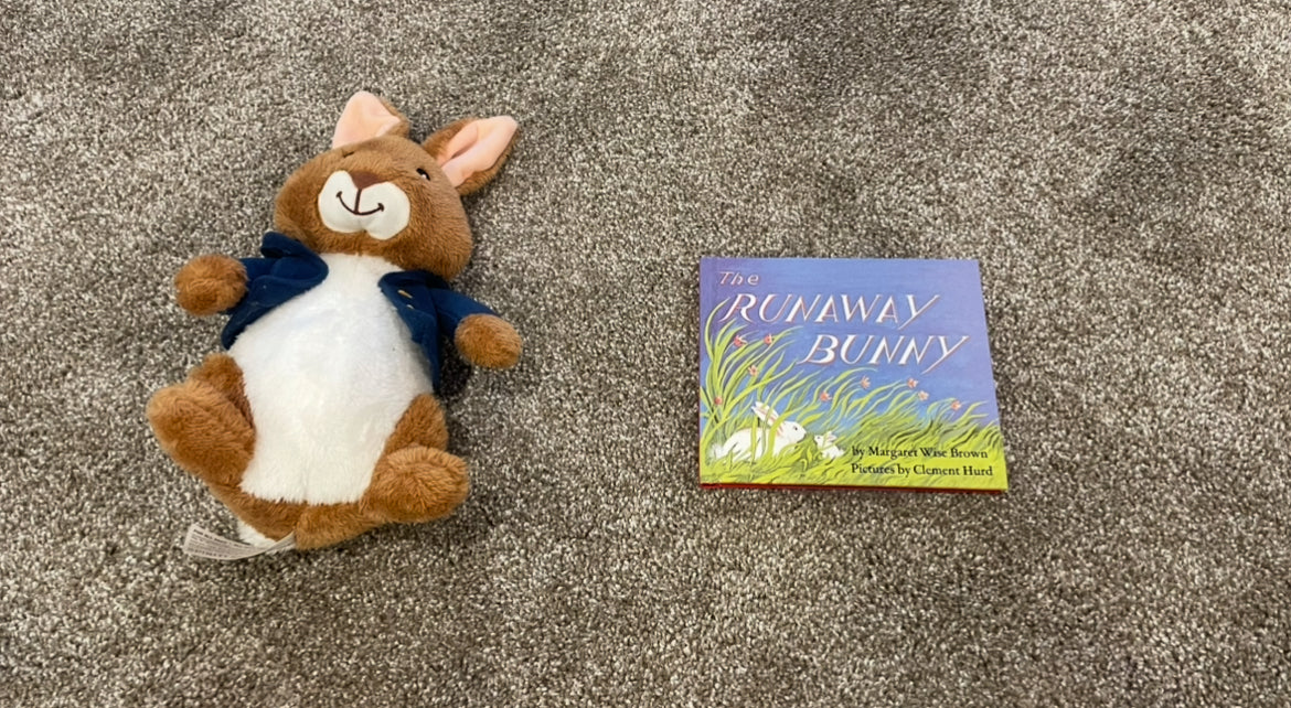 Seller 129-  Easter bunny toy and book
