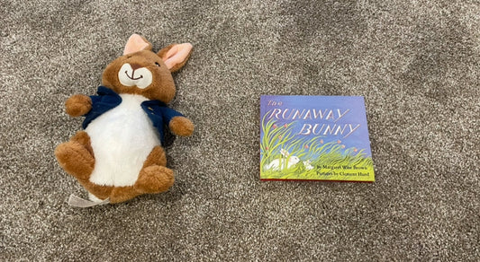 Seller 129-  Easter bunny toy and book