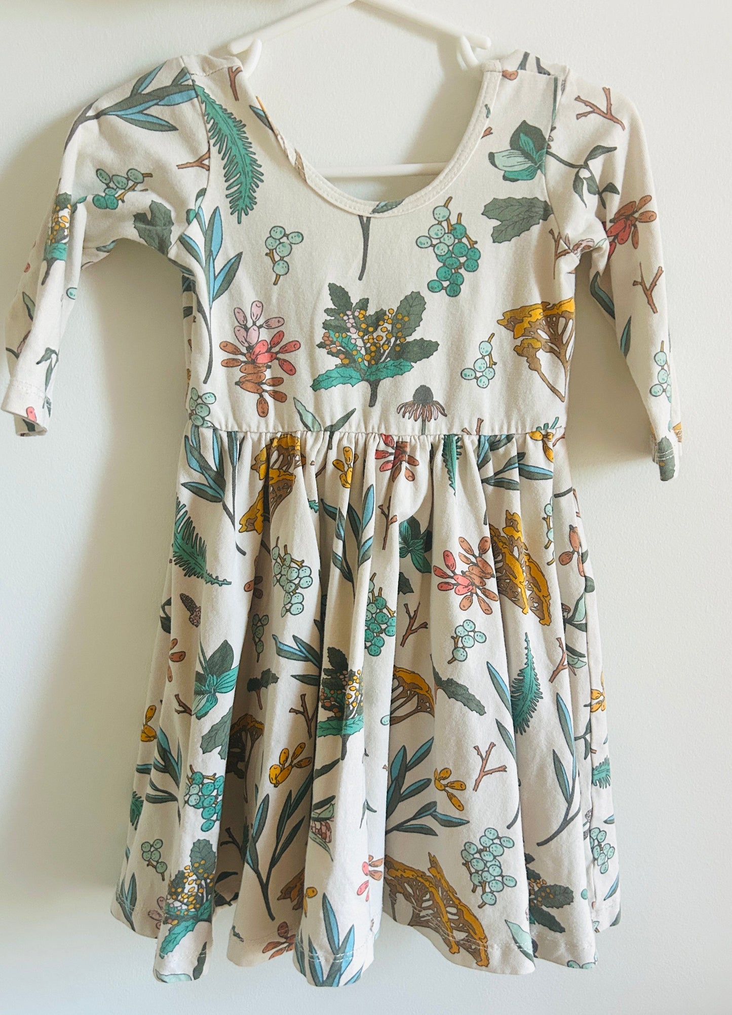#15 Alice & Ames 3t The Herbal Study Ballet Dress