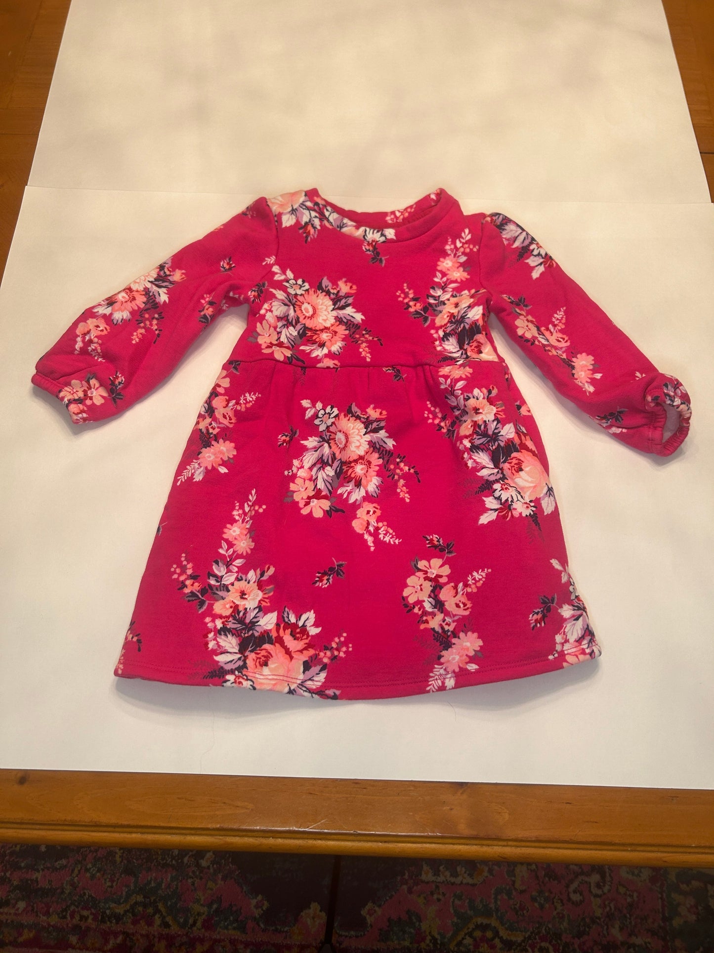 #28-Girls-3T-Gap-Pink Floral Sherpa Lined Dress