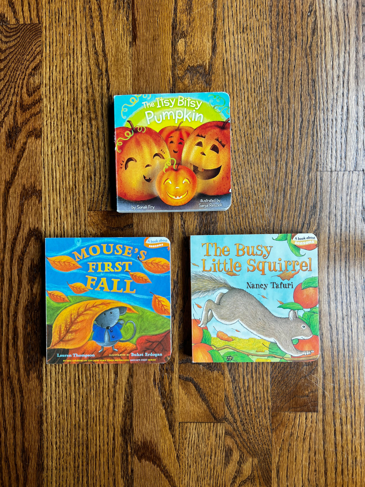 Seller #115 - Fall Board Book Bundle of 3, VGUC/GUC