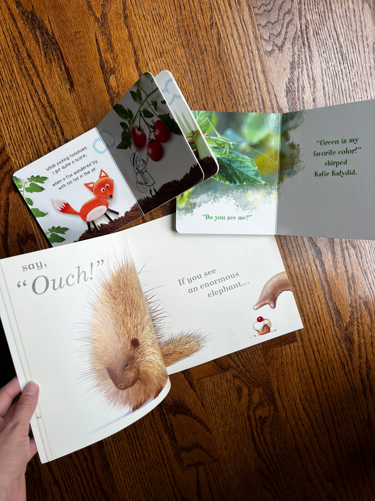 Seller #115 - Animals & Garden Baby/Toddler Book Bundle (Set of 3), VGUC/GUC