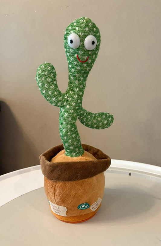 #133 Cactus Toy