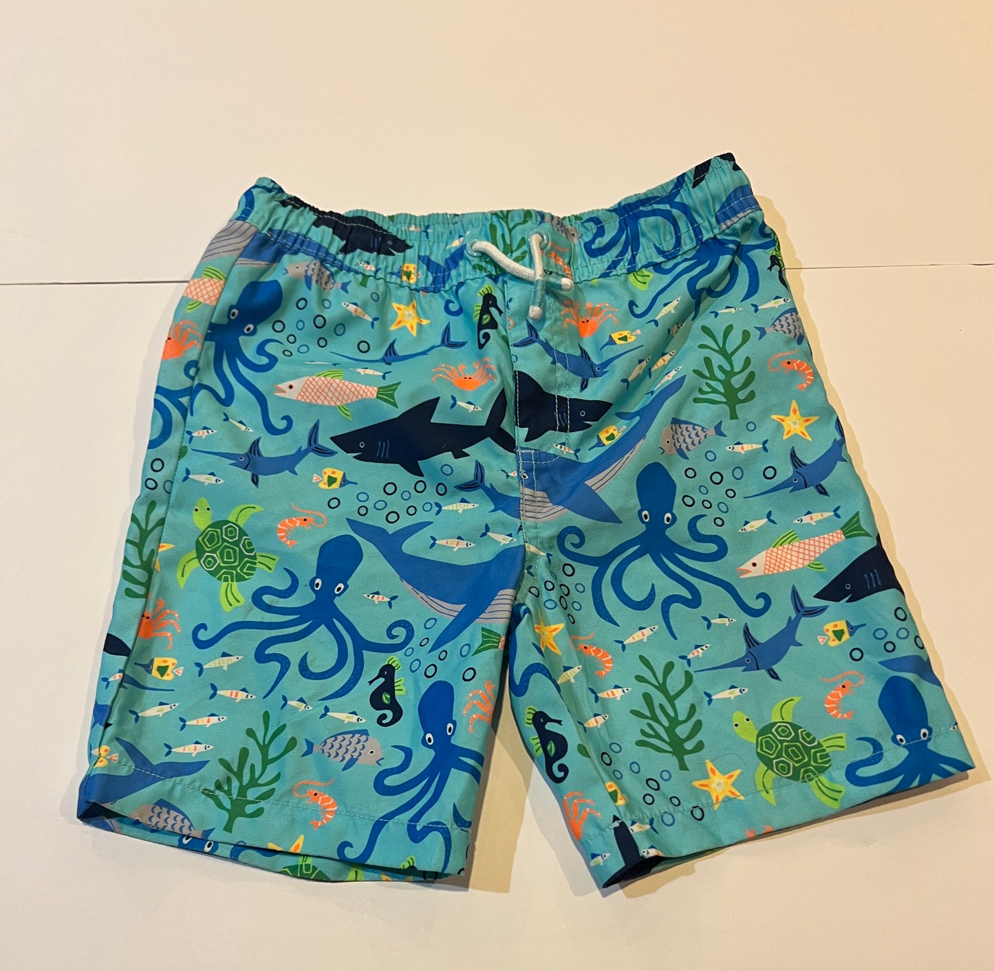 #141 Boys 8 Gymboree Ocean Animal Rashguard Set