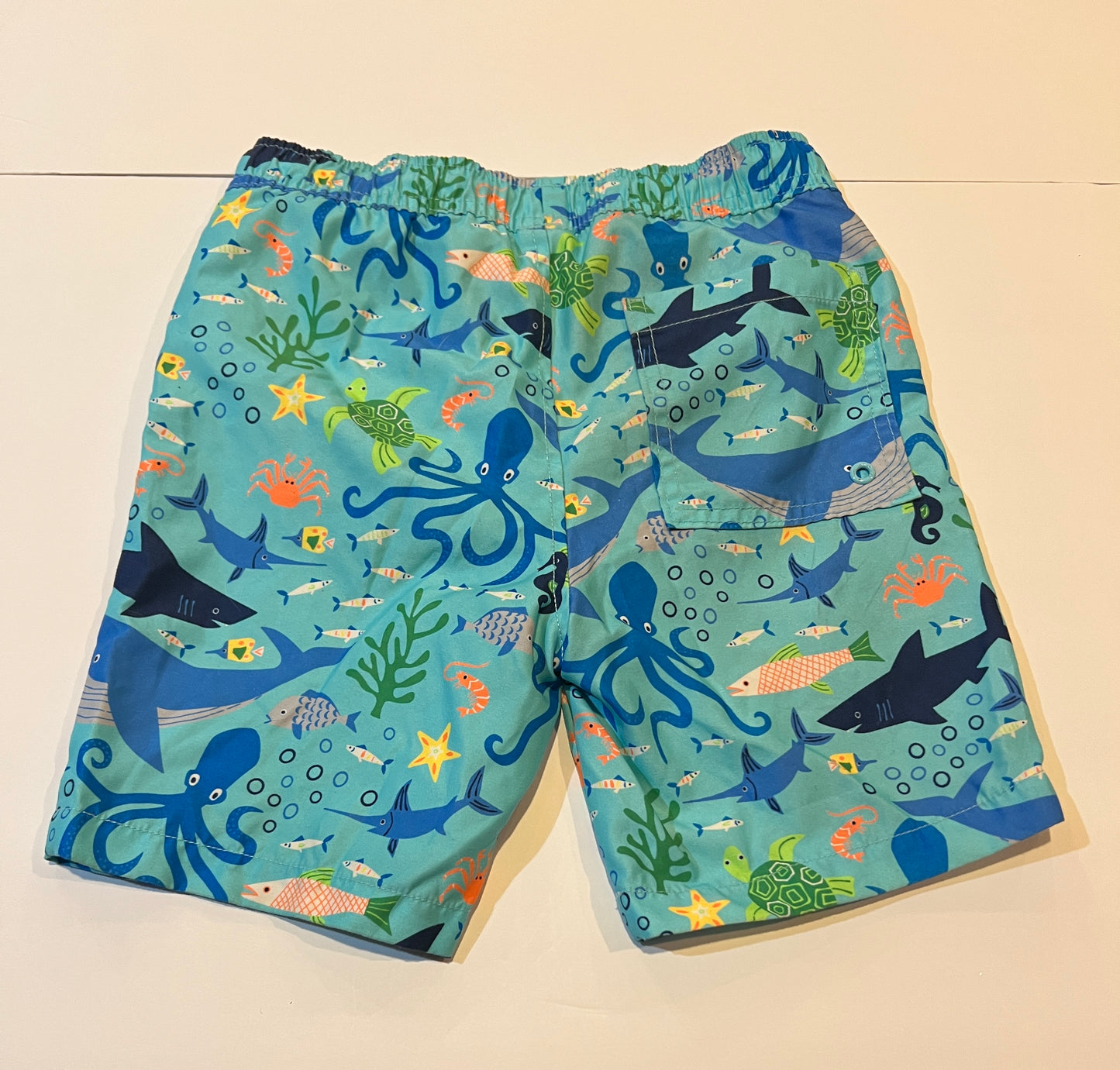#141 Boys 8 Gymboree Ocean Animal Rashguard Set